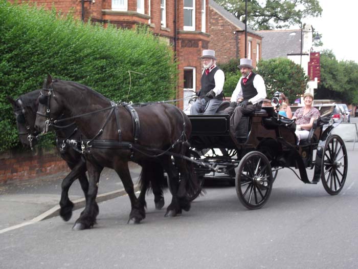 Horse and cart rides